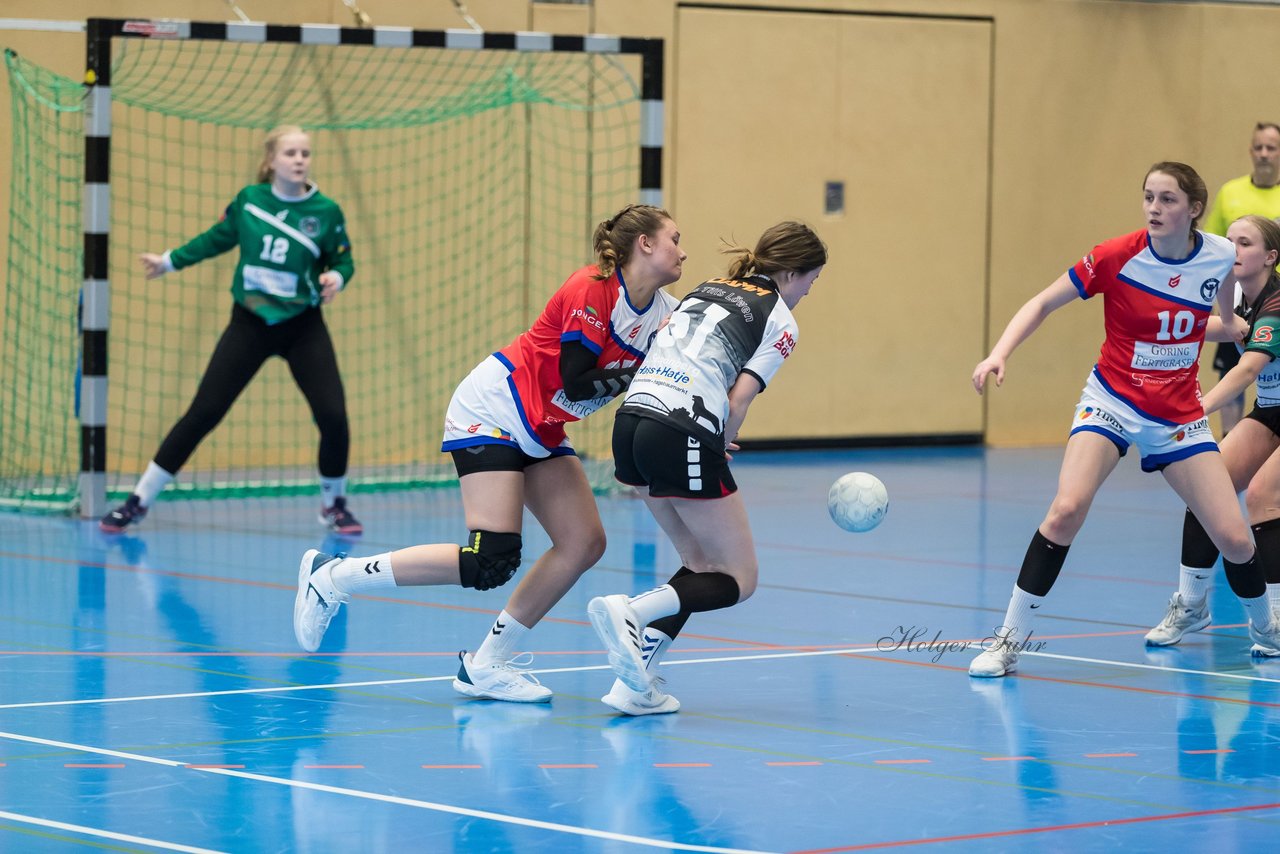 Bild 227 - wBJ HC Quickborn - HSG Tills Loew. : Ergebnis: 19:20